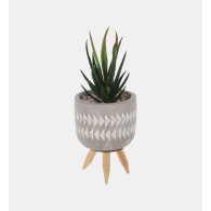 PLANTE EN POT CIMENT 8X8X16CM