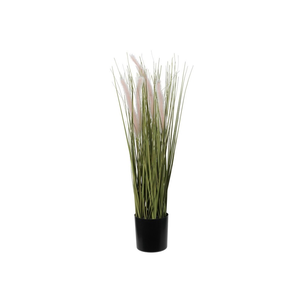 PLANTE EN POT EN PLASTIQUE PLANTE EN POT EN PLASTIQUE
