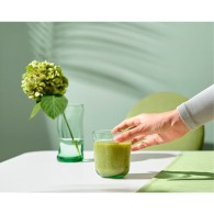4 VERRES PACABAHCE "LINDEN" 27 CL VERT